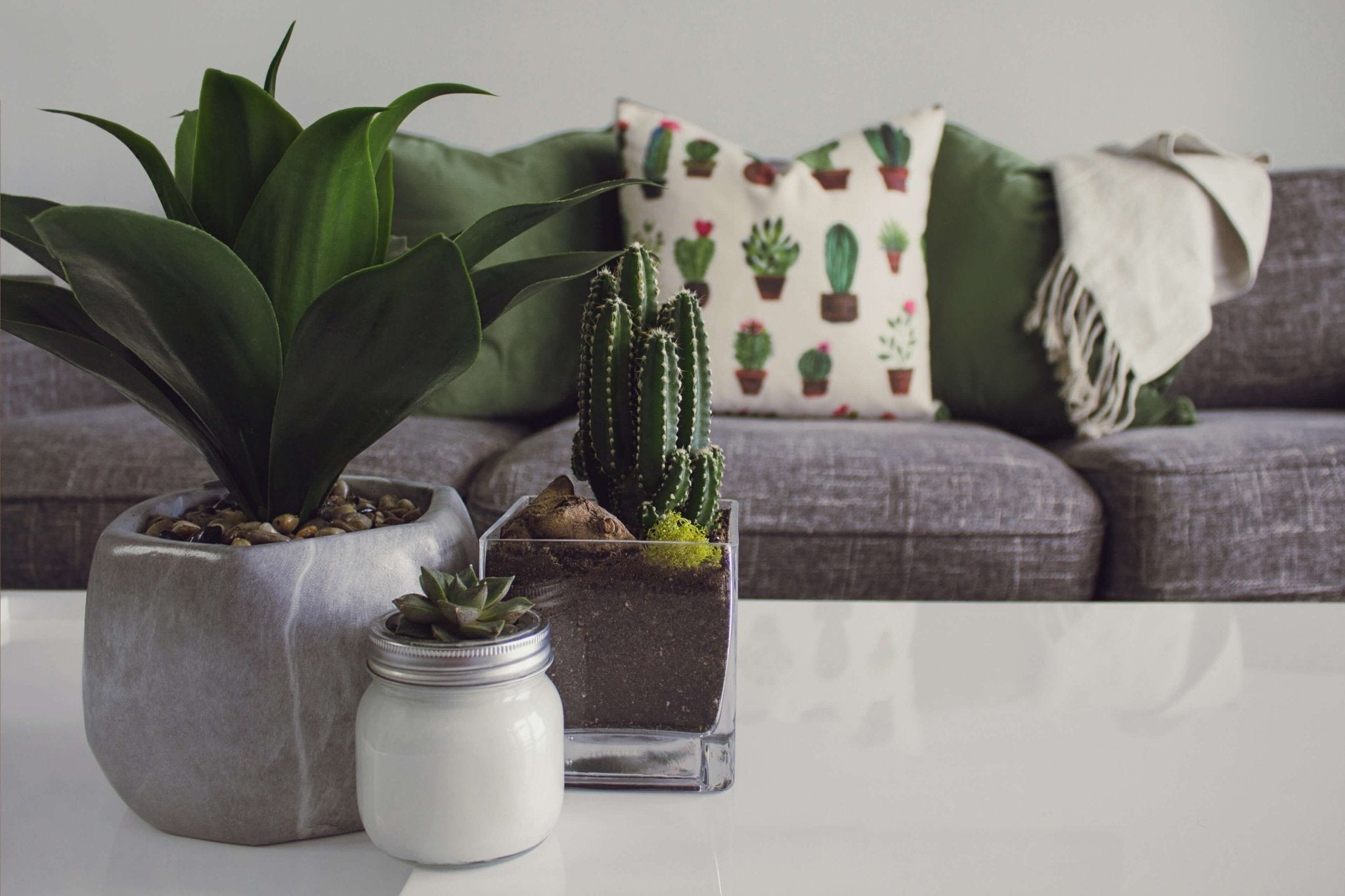 7 Coolest Summertime Ideas for Home Decor Gifts for Mom - Solange & Frances