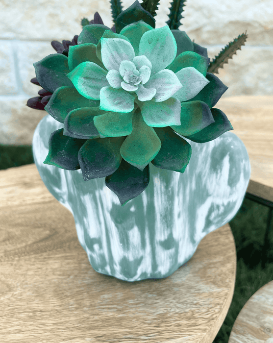 Cactus Theme Plant Holder - Solange & Frances