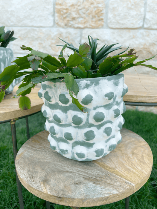 Cactus Theme Plant Holder - Solange & Frances