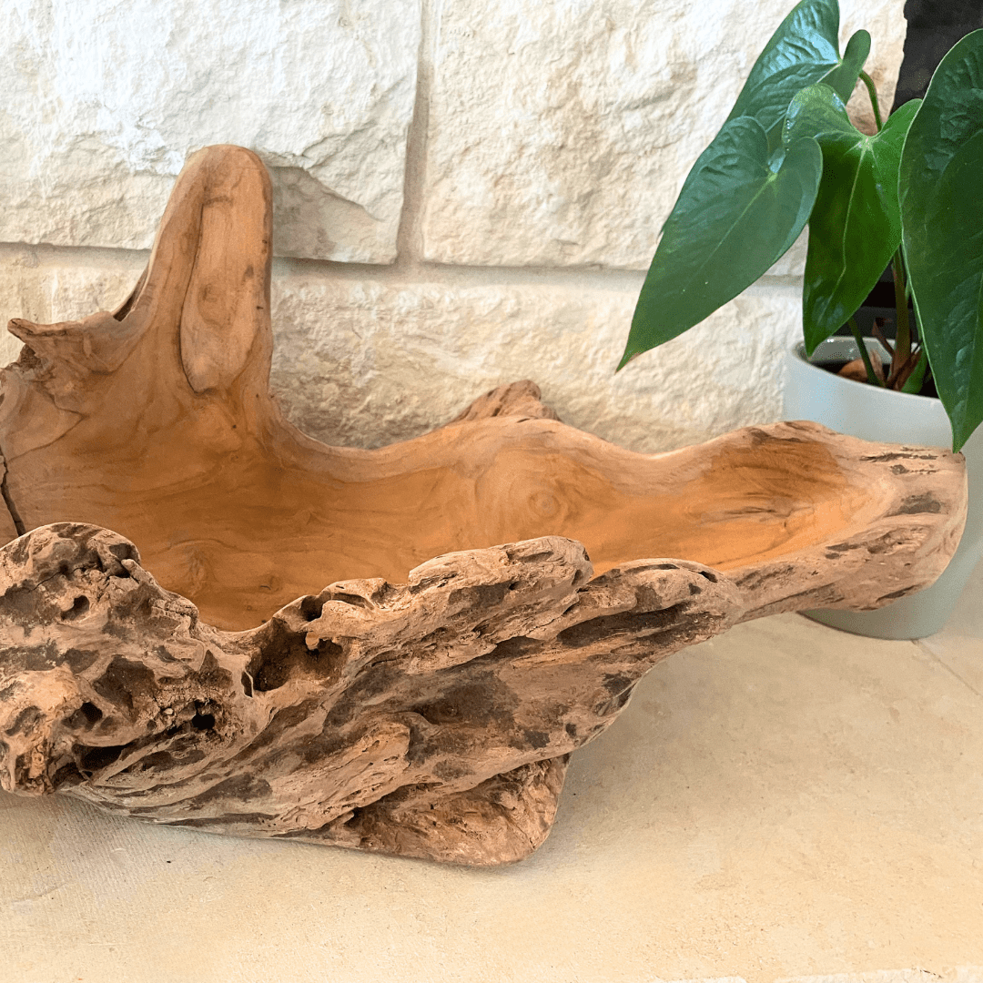 Driftwood Centerpiece Bowl - Solange & Frances