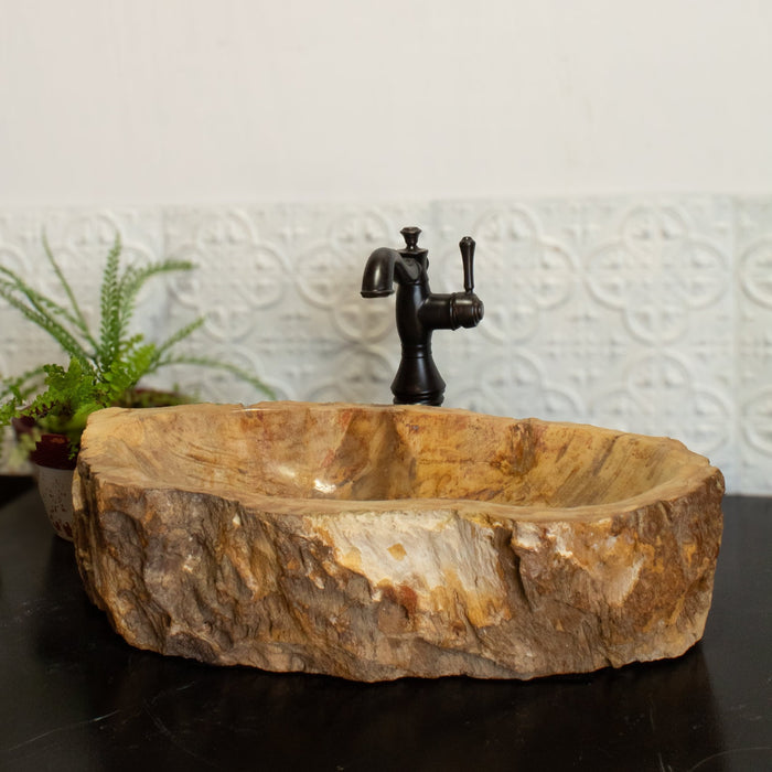 Petrified Wood Vessel Sink - Solange & Frances