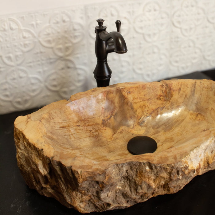 Petrified Wood Vessel Sink - Solange & Frances