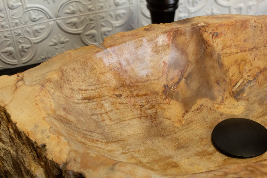 Petrified Wood Vessel Sink - Solange & Frances