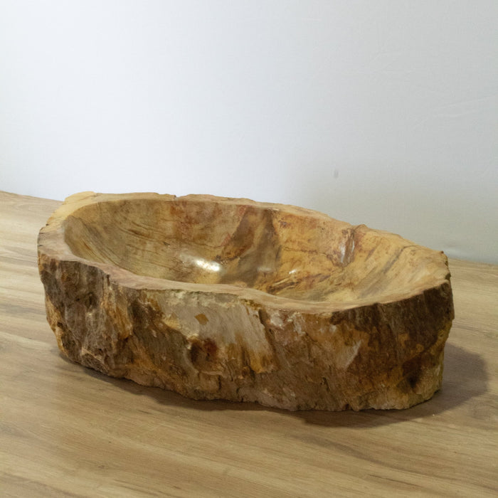 Petrified Wood Vessel Sink - Solange & Frances