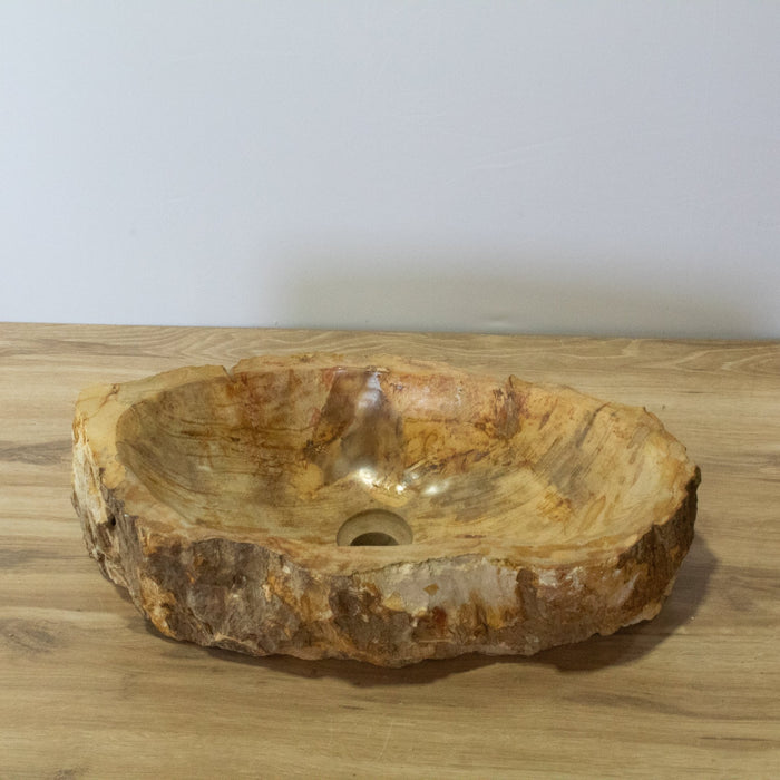 Petrified Wood Vessel Sink - Solange & Frances