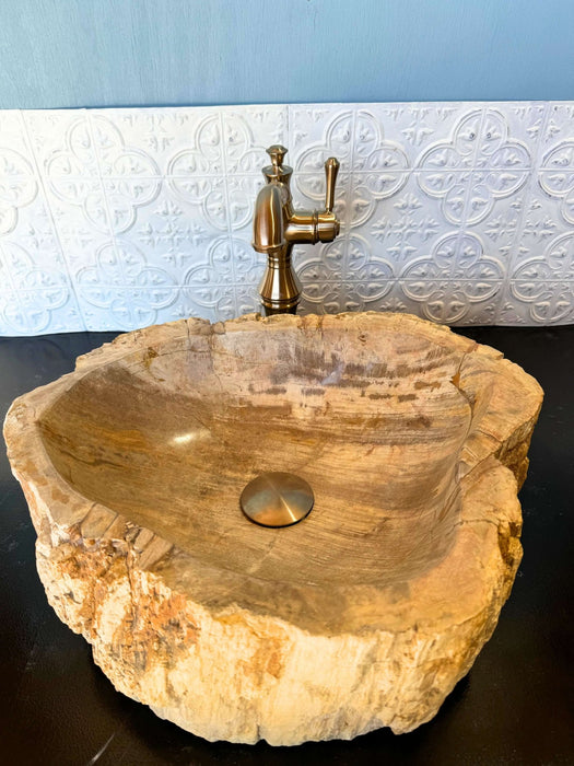 Petrified Wood Vessel Sink - Unique - Solange & Frances