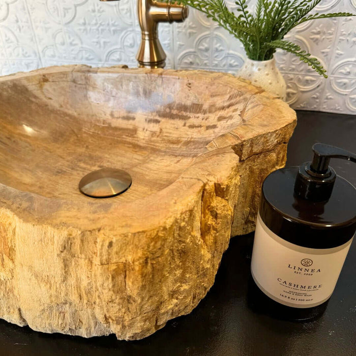 Petrified Wood Vessel Sink - Unique - Solange & Frances