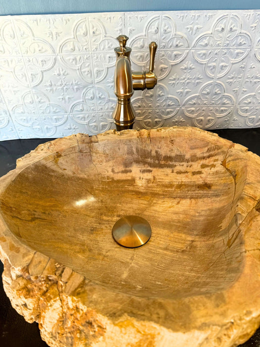 Petrified Wood Vessel Sink - Unique - Solange & Frances