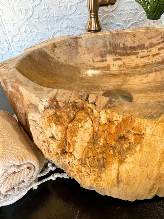 Petrified Wood Vessel Sink - Unique - Solange & Frances