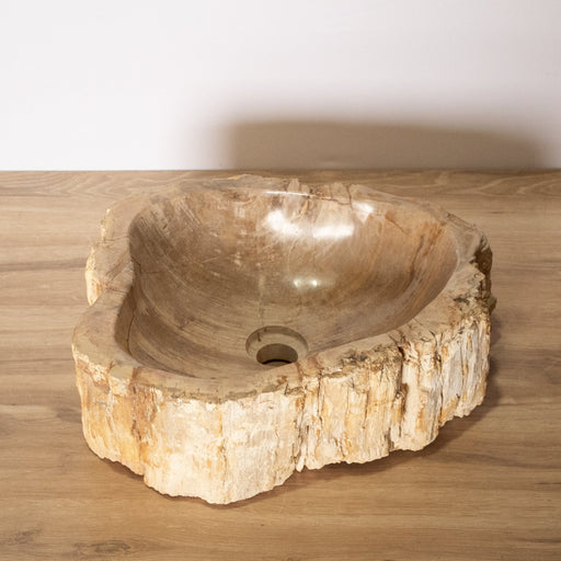 Petrified Wood Vessel Sink - Unique - Solange & Frances