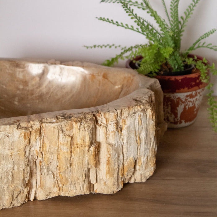 Petrified Wood Vessel Sink - Unique - Solange & Frances