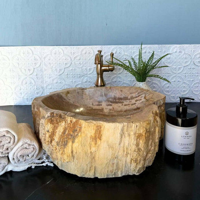 Petrified Wood Vessel Sink - Unique - Solange & Frances
