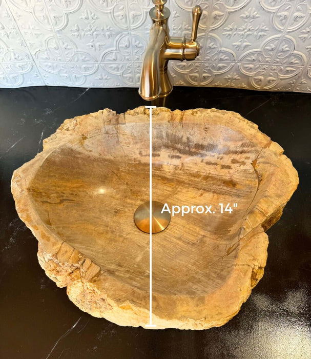 Petrified Wood Vessel Sink - Unique - Solange & Frances