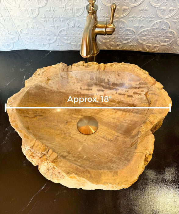Petrified Wood Vessel Sink - Unique - Solange & Frances