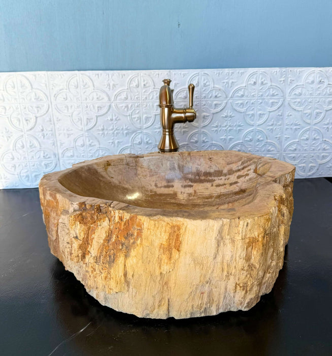 Petrified Wood Vessel Sink - Unique - Solange & Frances