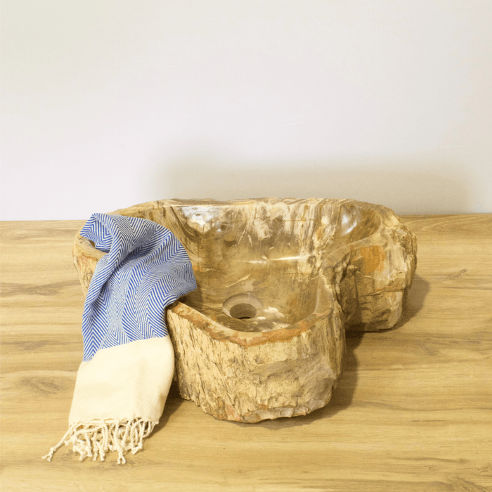 Petrified Wood Vessel Sink - Unique Heart - Solange & Frances