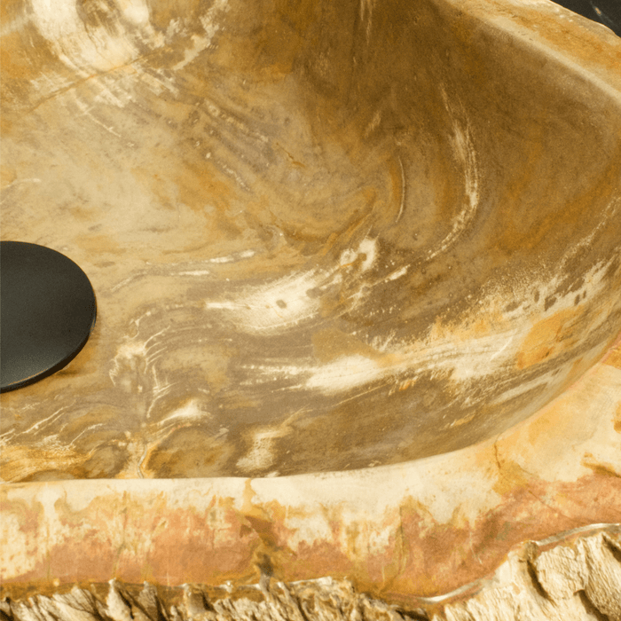 Petrified Wood Vessel Sink - Unique Heart - Solange & Frances