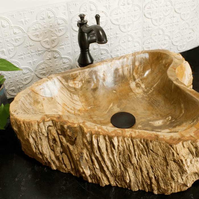 Petrified Wood Vessel Sink - Unique Heart - Solange & Frances