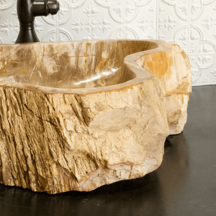 Petrified Wood Vessel Sink - Unique Heart - Solange & Frances