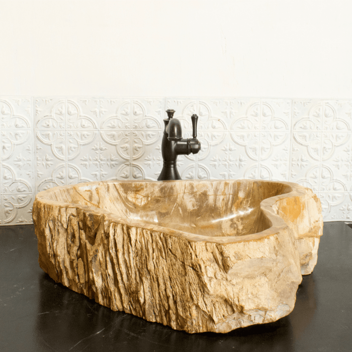 Petrified Wood Vessel Sink - Unique Heart - Solange & Frances