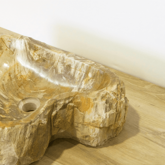 Petrified Wood Vessel Sink - Unique Heart - Solange & Frances