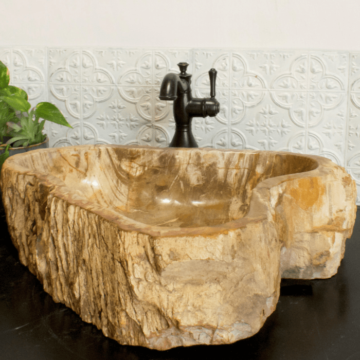 Petrified Wood Vessel Sink - Unique Heart - Solange & Frances