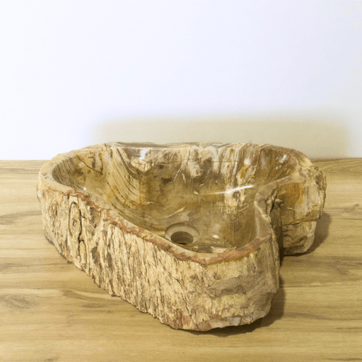 Petrified Wood Vessel Sink - Unique Heart - Solange & Frances