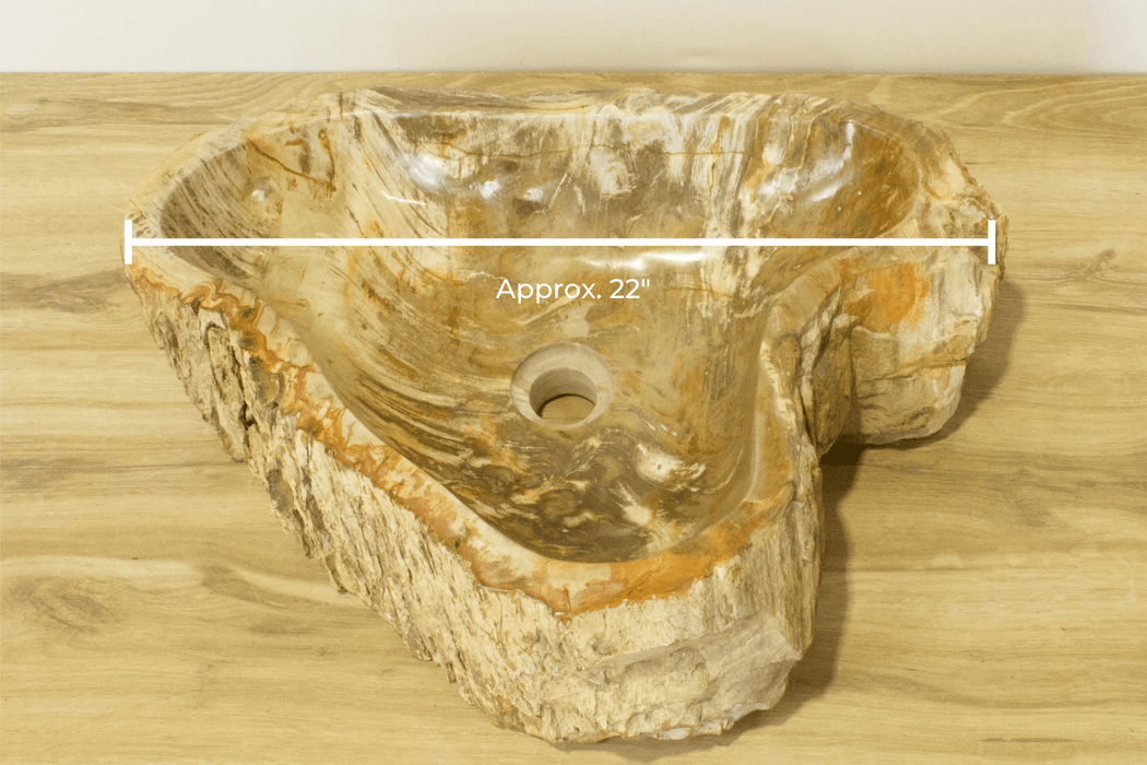 Petrified Wood Vessel Sink - Unique Heart - Solange & Frances