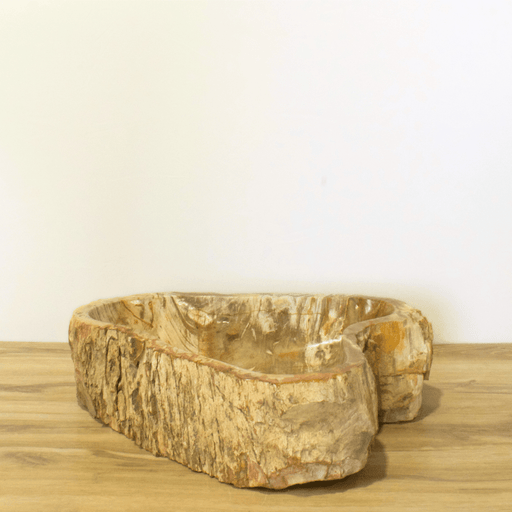 Petrified Wood Vessel Sink - Unique Heart - Solange & Frances