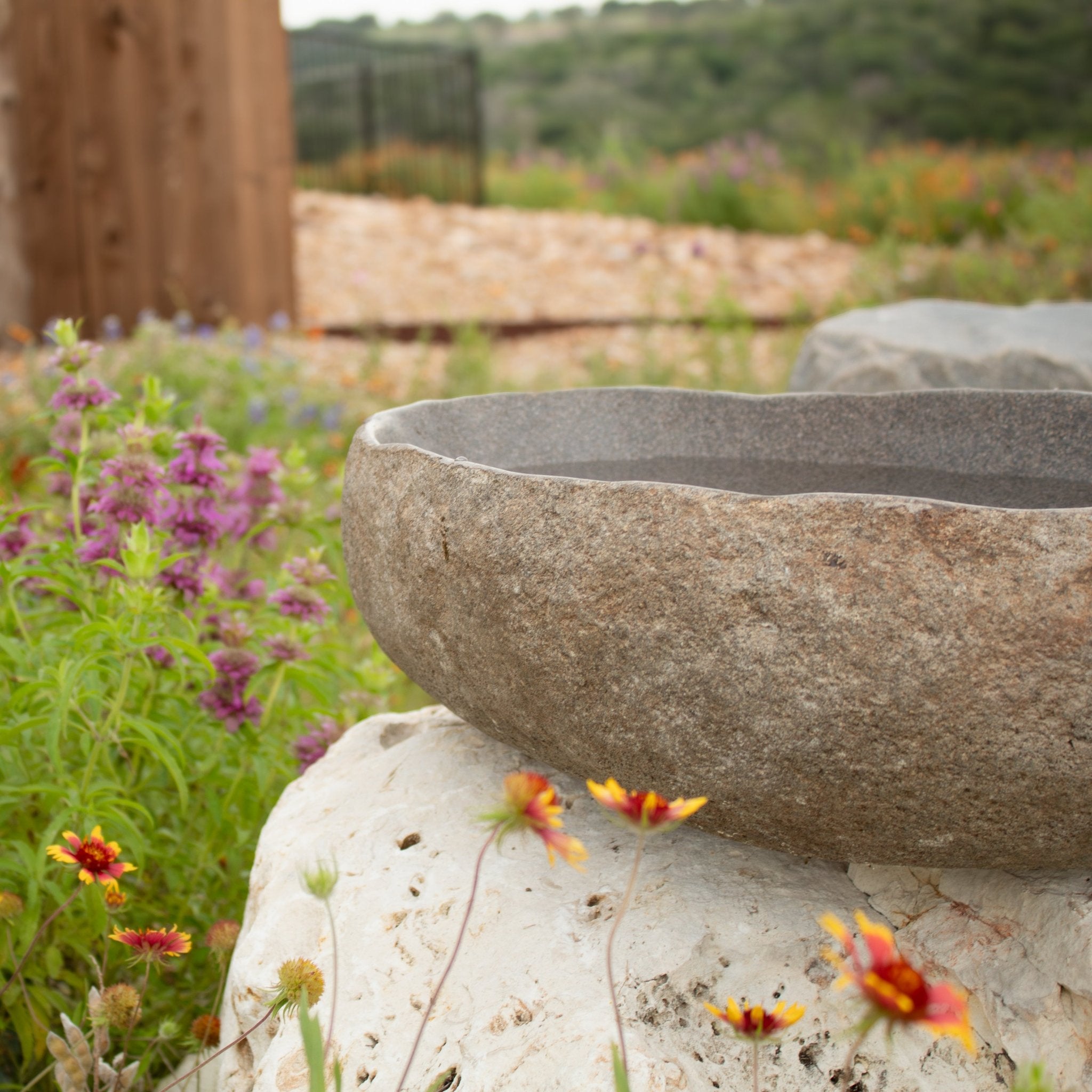 River Rock Bird Bath - Solange & Frances