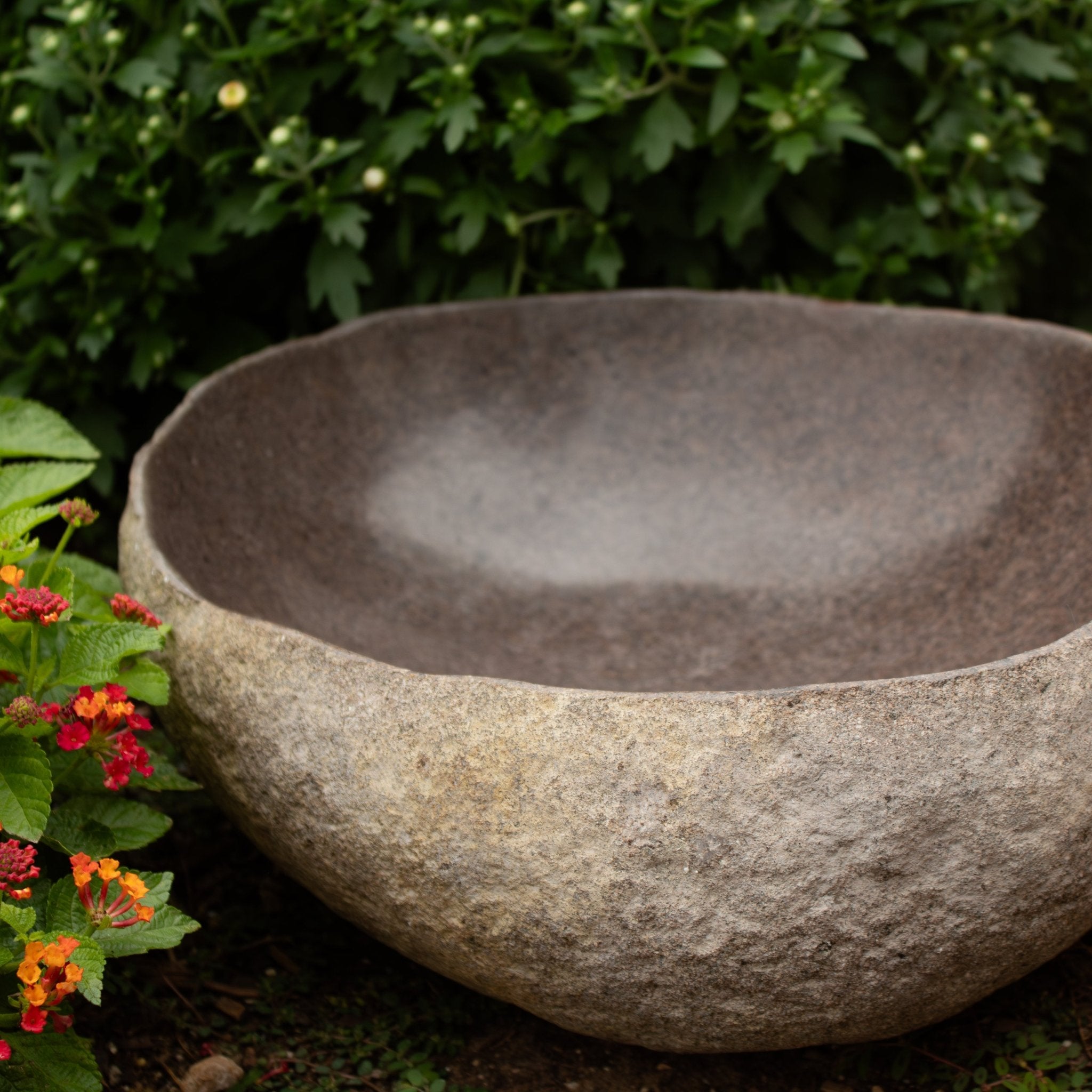 River Rock Bird Bath - Solange & Frances