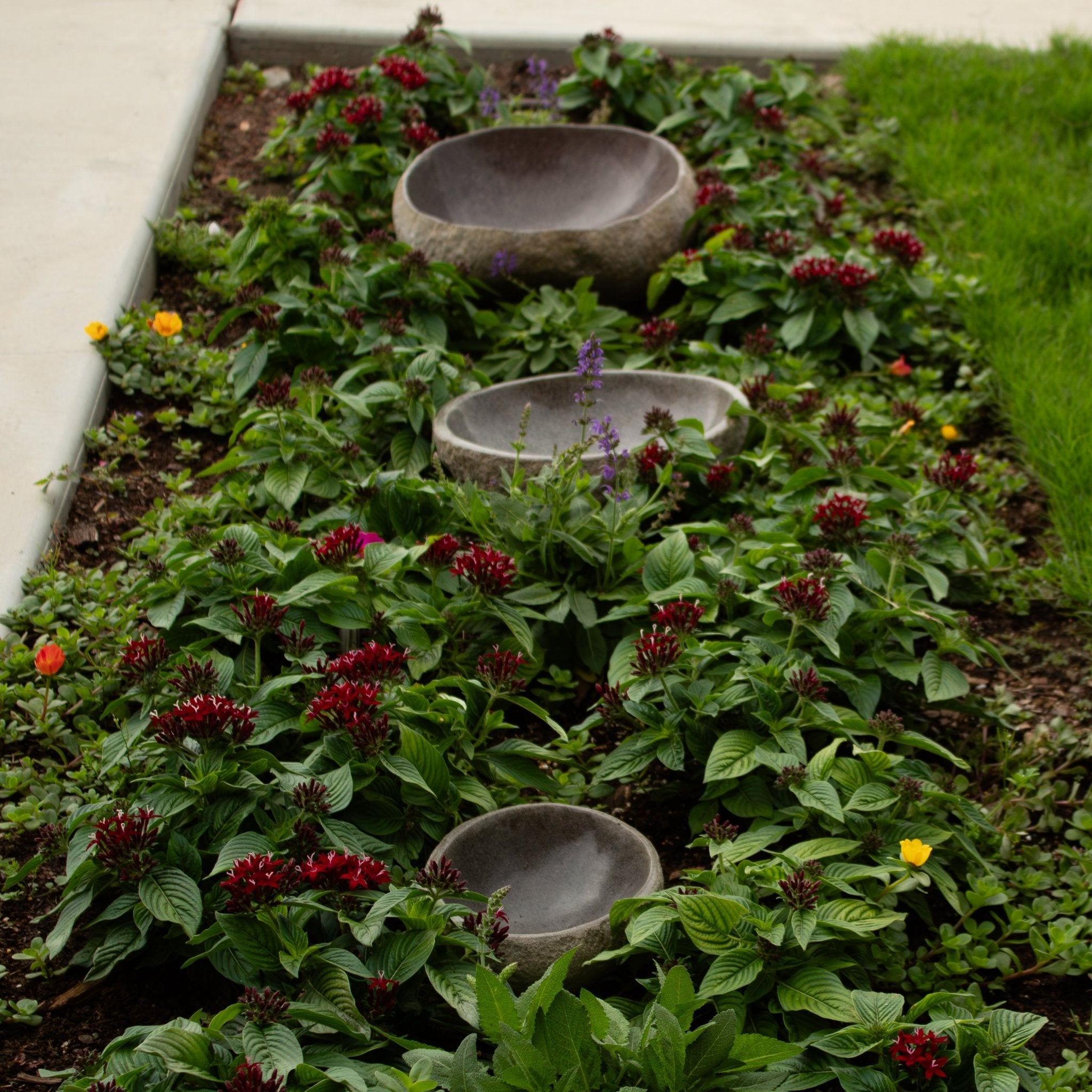 River Rock Bird Bath - Solange & Frances