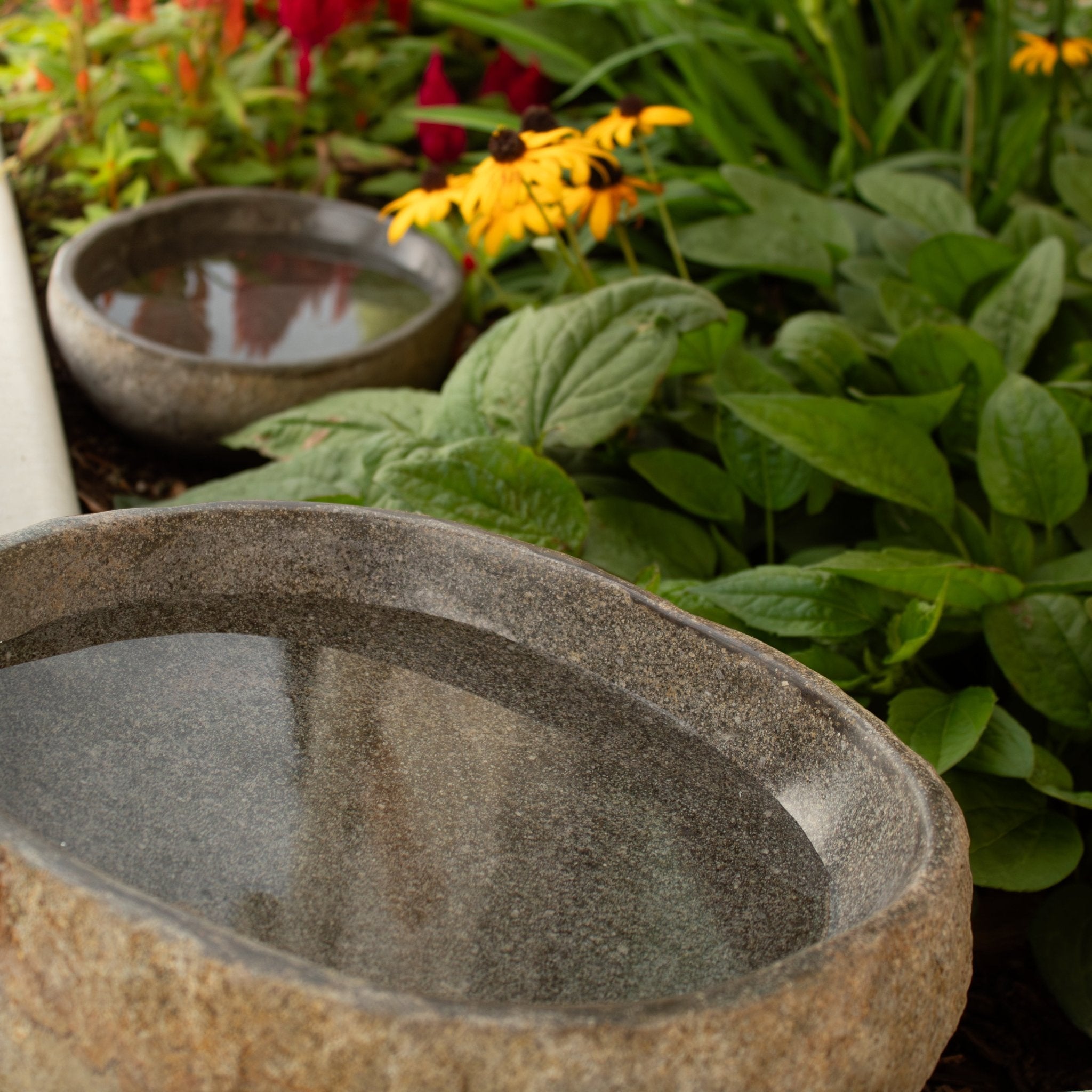 River Rock Bird Bath - Solange & Frances