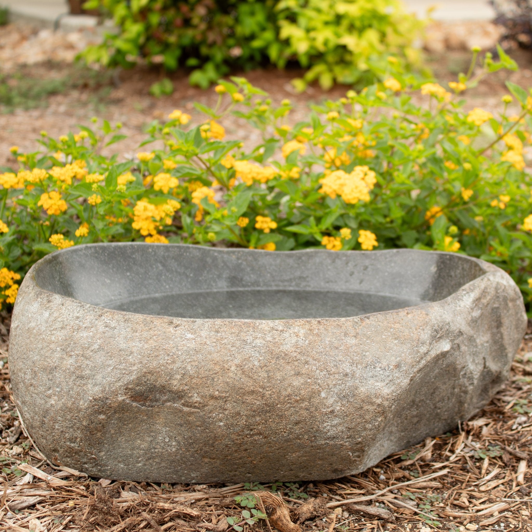 River Rock Bird Bath - Solange & Frances