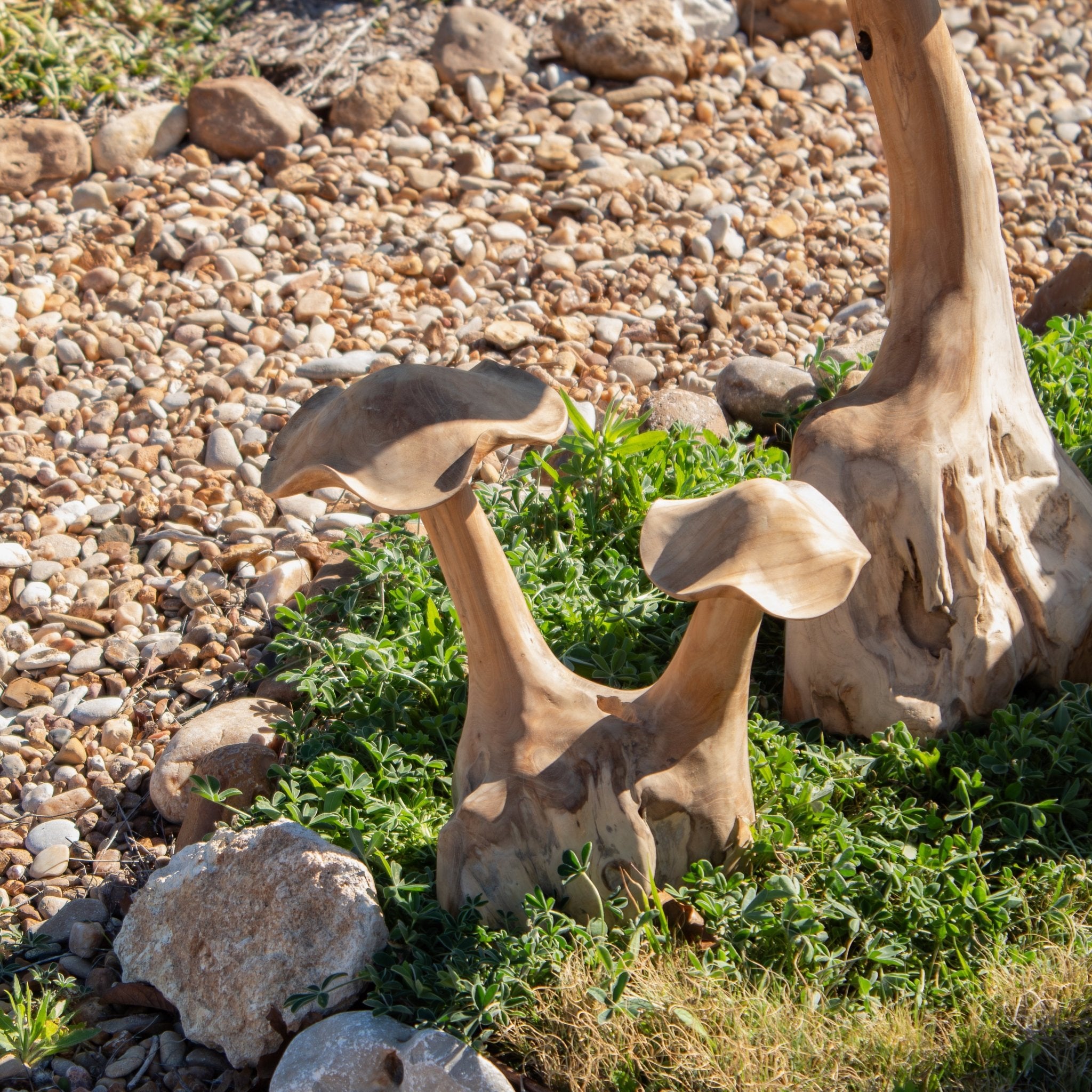Teak Wood Mushrooms - Solange & Frances