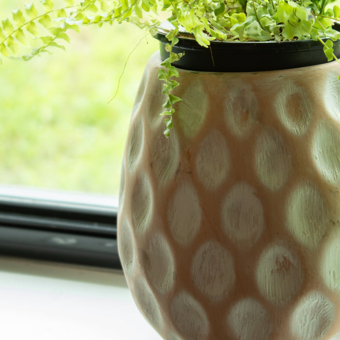 White - washed Clay Terracotta Pot - Solange & Frances
