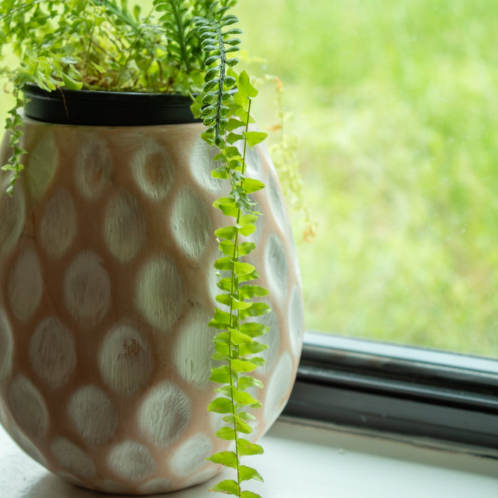 White - washed Clay Terracotta Pot - Solange & Frances