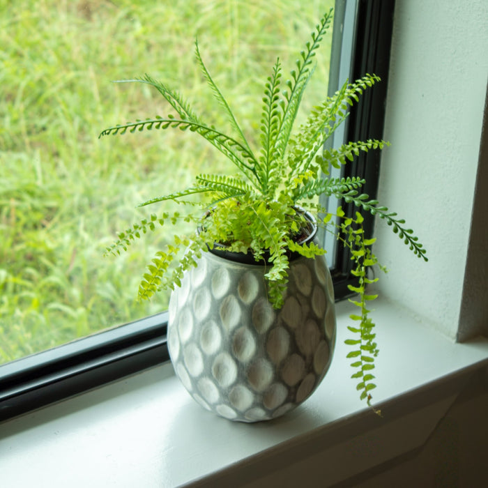 White - washed Clay Terracotta Pot - Solange & Frances