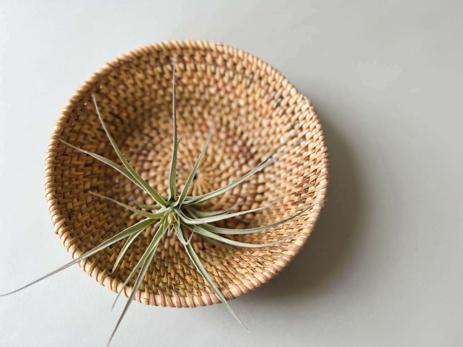 Rattan Round Baskets - Set of 2 - Solange & Frances