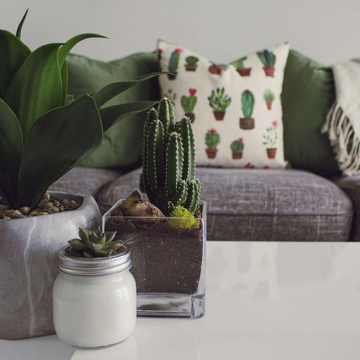 7 Coolest Summertime Ideas for Home Decor Gifts for Mom - Solange & Frances
