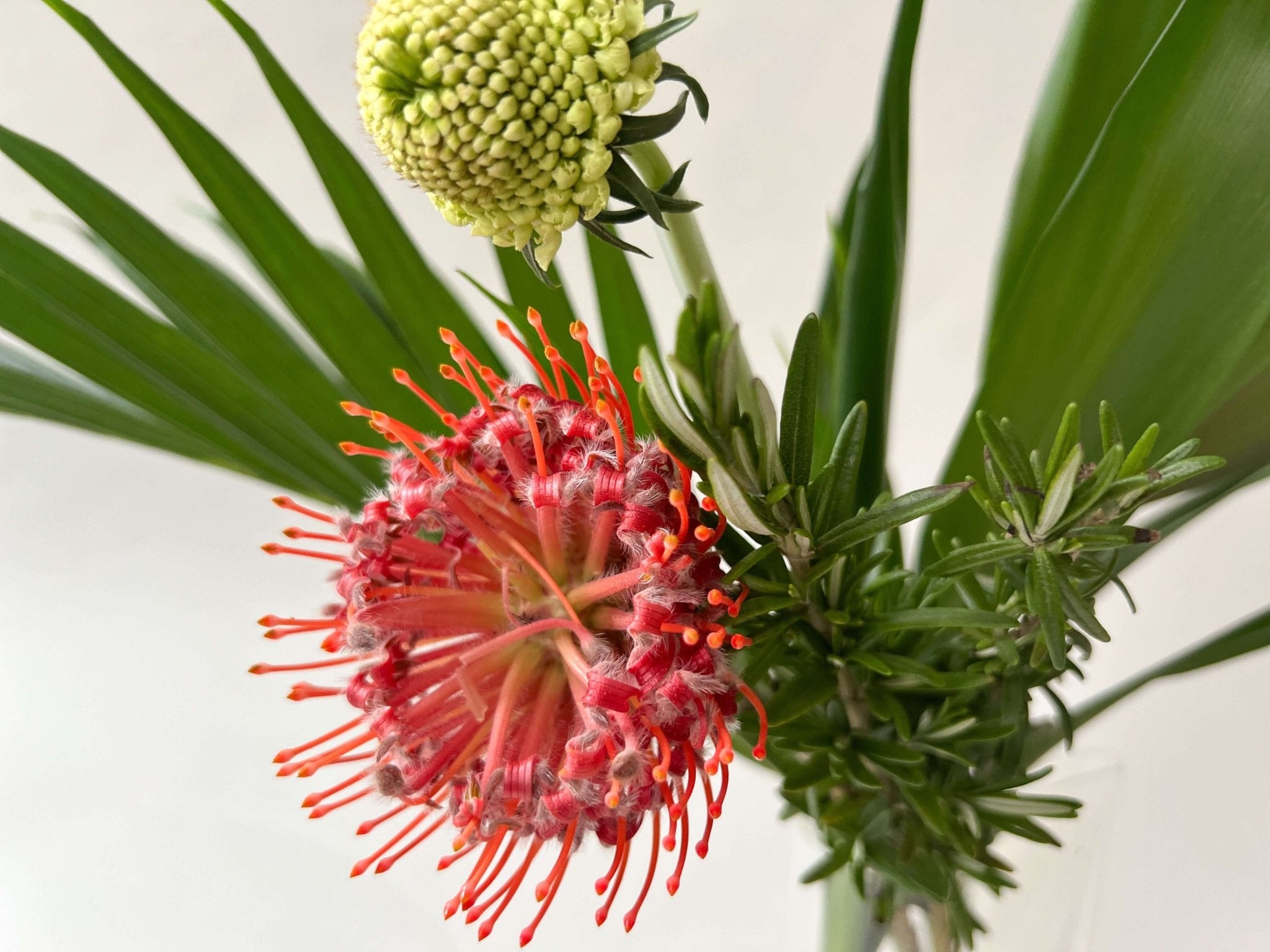 Home Decor Design Inspired by Nature - Perennially In Style - Solange & Frances