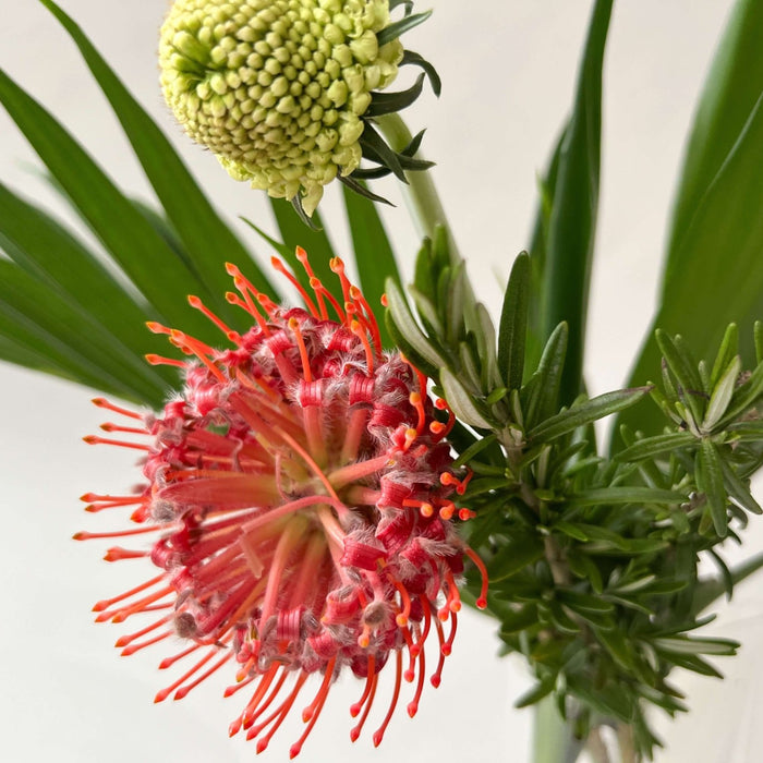Home Decor Design Inspired by Nature - Perennially In Style - Solange & Frances