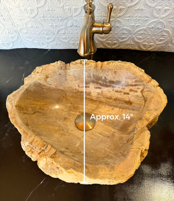 Petrified Wood Vessel Sink - Unique | Solange & Frances