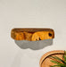 Teak Live Edge Shelf-Small | Solange & Frances