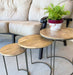 Nesting Mango Wood Accent Tables- Set of 3 | Solange & Frances