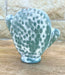 Cactus Plant Holder | Solange & Frances