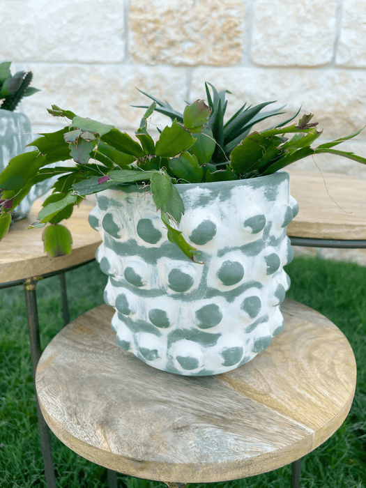 Cactus Theme Plant Holder | Solange & Frances