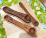 Forestry Measuring Spoons- Set of 3 | Solange & Frances