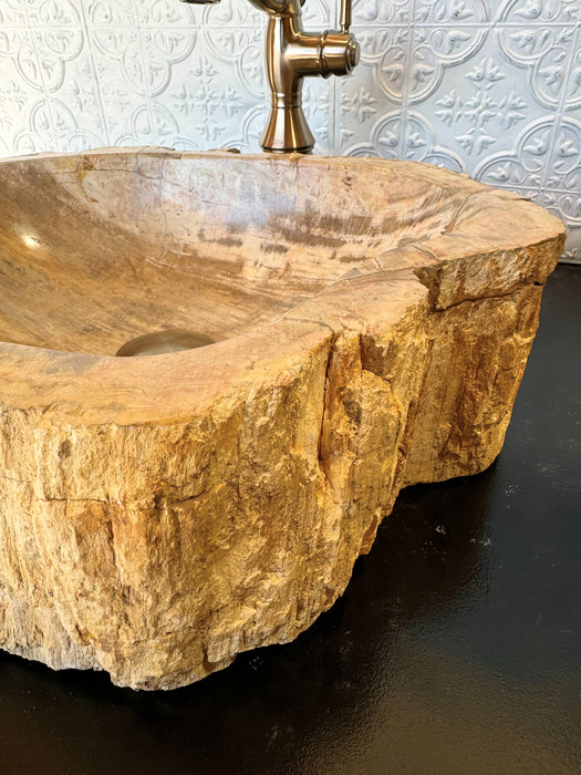 Petrified Wood Vessel Sink - Unique | Solange & Frances