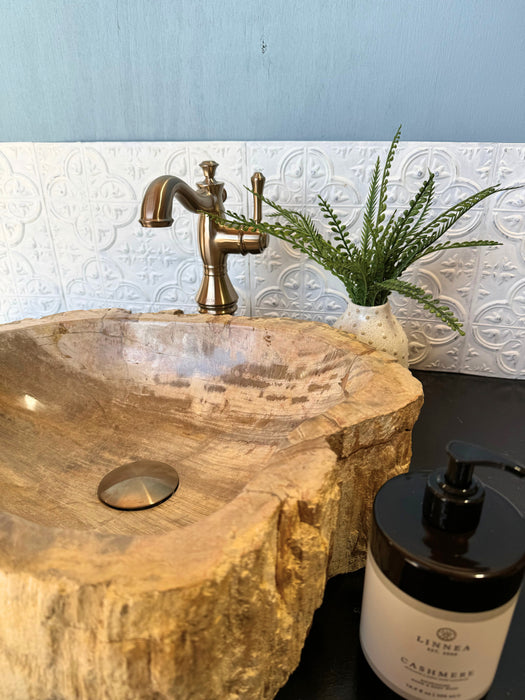 Petrified Wood Vessel Sink - Unique | Solange & Frances